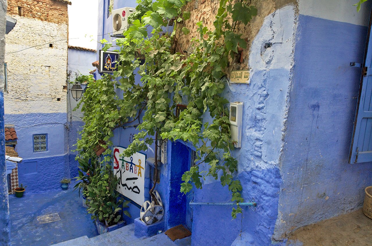 Maroc - Chefchaouen - Photo 9