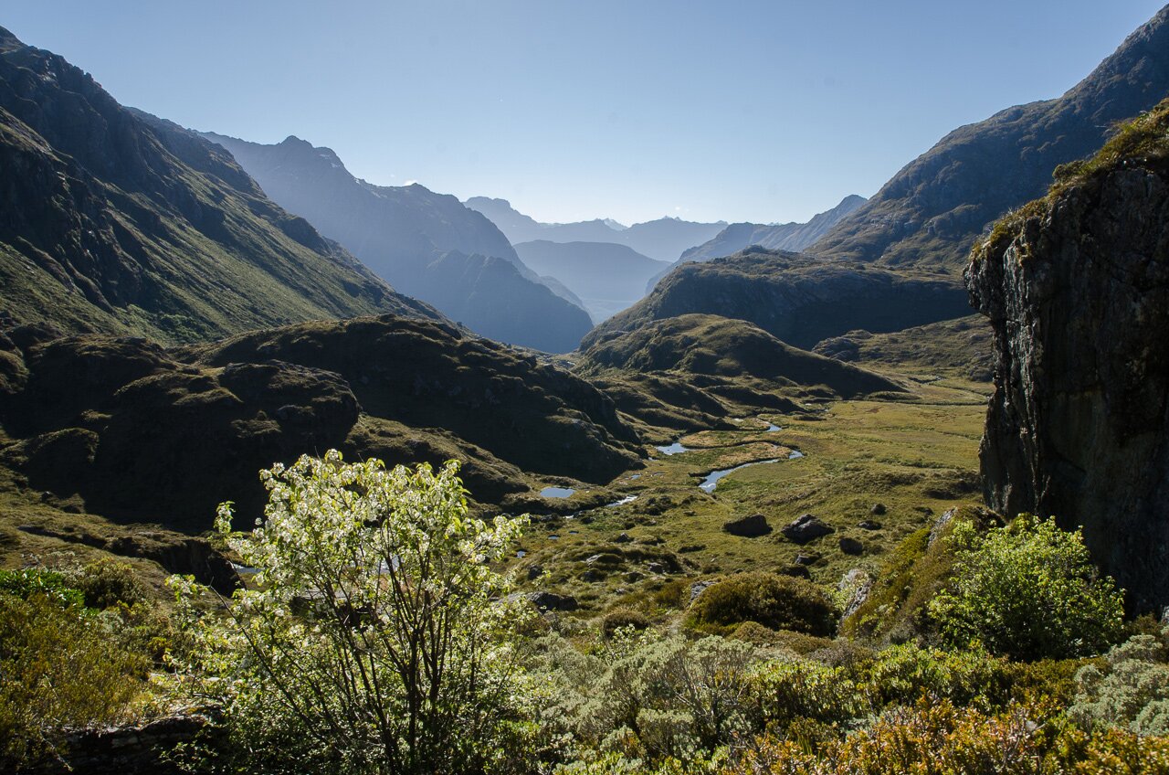Nouvelle-Zélande - Ile du Sud - Photo 13