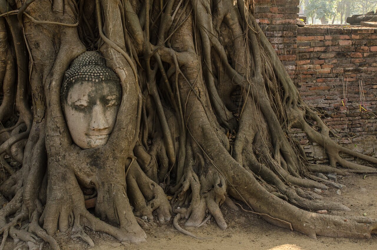 Thaïlande - Ayutthaya - Photo 3