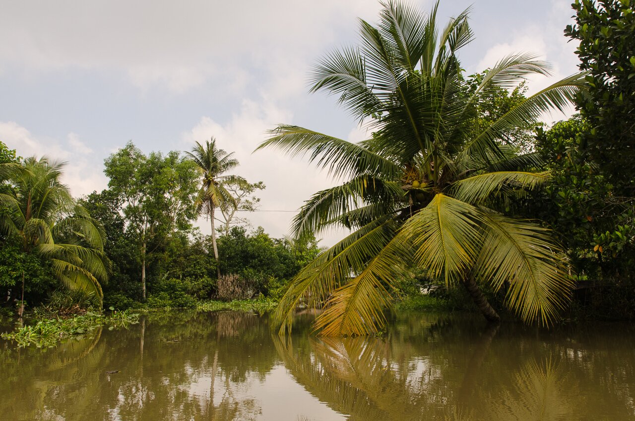Vietnam - Delta du Mekong - Photo 18