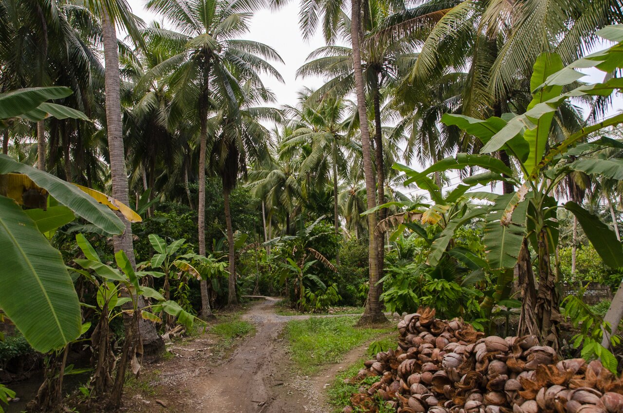 Vietnam - Delta du Mekong - Photo 22