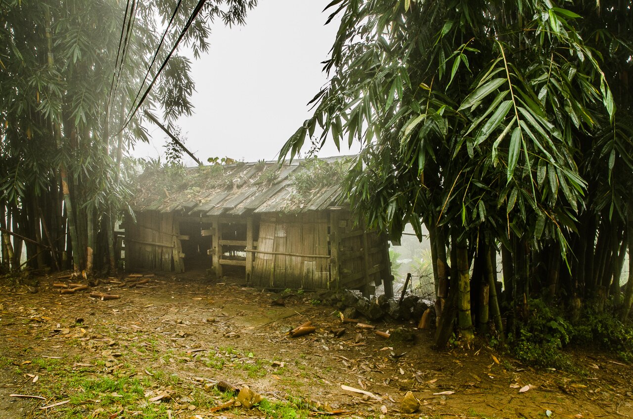 Sapa